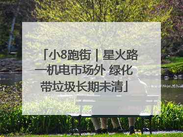 小8跑街｜星火路一机电市场外 绿化带垃圾长期未清