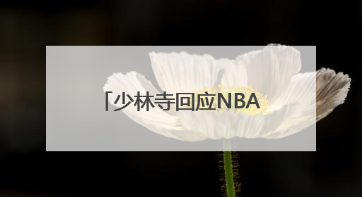 少林寺回应NBA球星文班亚马闭关修行 为期十天