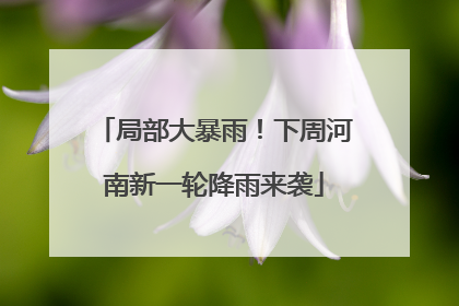 局部大暴雨！下周河南新一轮降雨来袭