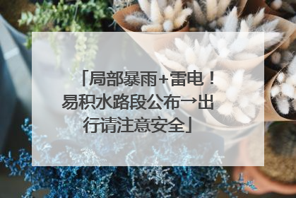局部暴雨+雷电！易积水路段公布→出行请注意安全
