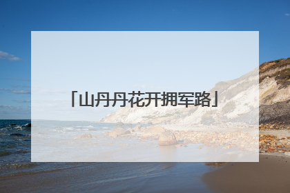 山丹丹花开拥军路