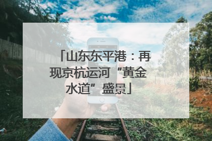 山东东平港：再现京杭运河“黄金水道”盛景