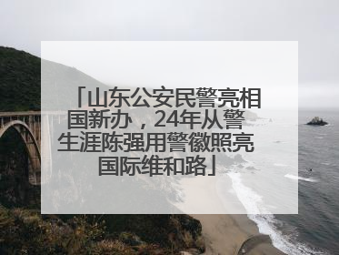 山东公安民警亮相国新办，24年从警生涯陈强用警徽照亮国际维和路