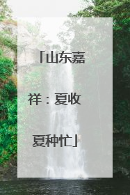 山东嘉祥：夏收夏种忙