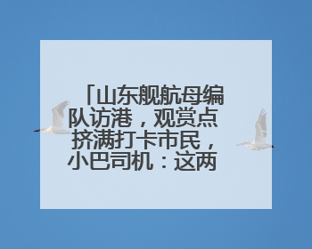 山东舰航母编队访港，观赏点挤满打卡市民，小巴司机：这两天去看航母的人数不得了