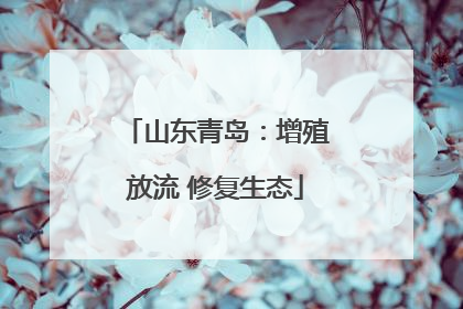 山东青岛：增殖放流 修复生态