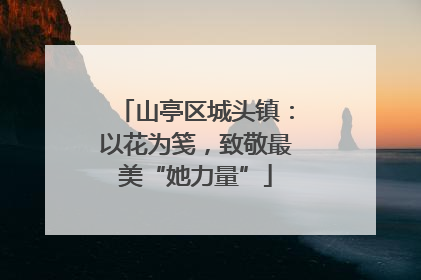 山亭区城头镇:以花为笺,致敬最美“她力量”