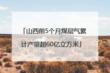 山西前5个月煤层气累计产量超60亿立方米