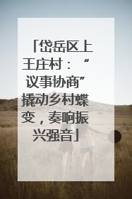 岱岳区上王庄村：“议事协商”撬动乡村蝶变，奏响振兴强音