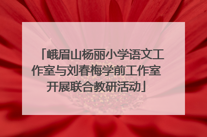 峨眉山杨丽小学语文工作室与刘春梅学前工作室开展联合教研活动