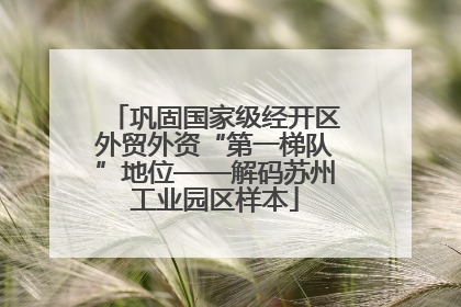 巩固国家级经开区外贸外资“第一梯队”地位——解码苏州工业园区样本