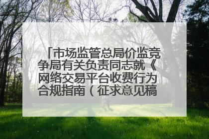 市场监管总局价监竞争局有关负责同志就《网络交易平台收费行为合规指南（征求意见稿）》答记者问