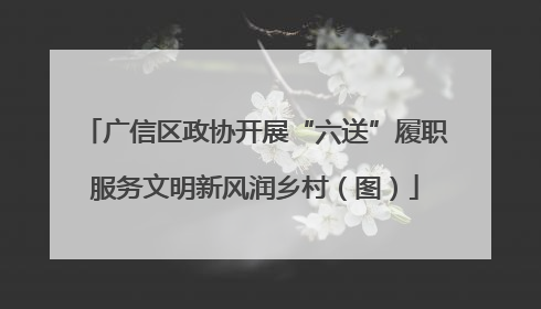 广信区政协开展“六送”履职服务文明新风润乡村（图）