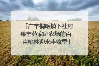 广丰桐畈镇下社村果丰苑家庭农场的百亩桃林迎来丰收季
