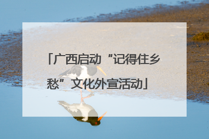 广西启动“记得住乡愁”文化外宣活动