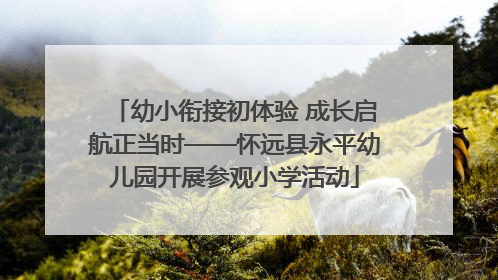 幼小衔接初体验 成长启航正当时——怀远县永平幼儿园开展参观小学活动