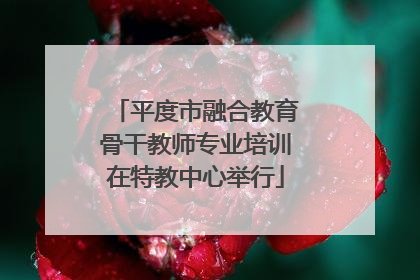 平度市融合教育骨干教师专业培训在特教中心举行