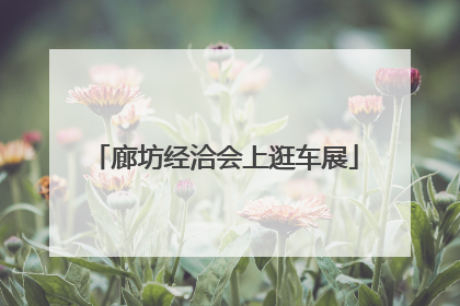 廊坊经洽会上逛车展