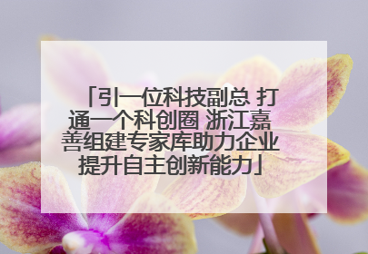 引一位科技副总 打通一个科创圈 浙江嘉善组建专家库助力企业提升自主创新能力