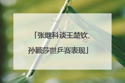 张继科谈王楚钦、孙颖莎世乒赛表现