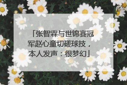 张智霖与世锦赛冠军赵心童切磋球技，本人发声：很梦幻