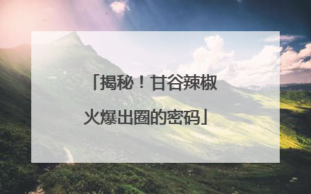 揭秘！甘谷辣椒火爆出圈的密码
