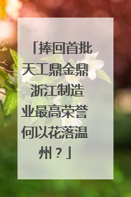 捧回首批天工鼎金鼎 浙江制造业最高荣誉何以花落温州？