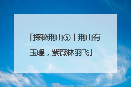 探秘荆山⑤丨荆山有玉暖，紫薇林羽飞