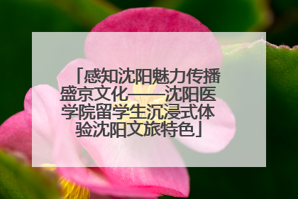 感知沈阳魅力传播盛京文化——沈阳医学院留学生沉浸式体验沈阳文旅特色