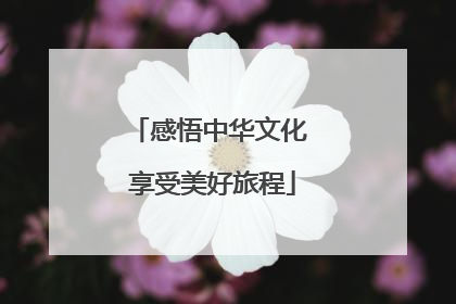 感悟中华文化 享受美好旅程