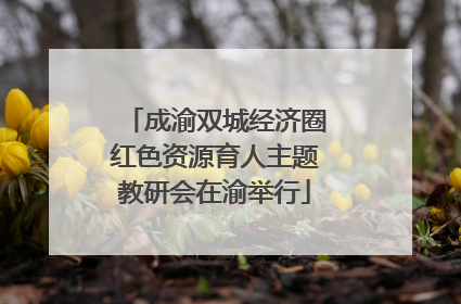 成渝双城经济圈红色资源育人主题教研会在渝举行