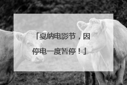 戛纳电影节，因停电一度暂停！