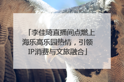李佳琦直播间点燃上海乐高乐园热情，引领IP消费与文旅融合