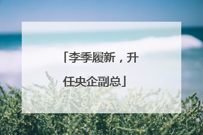 李季履新，升任央企副总