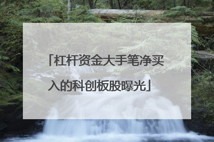 杠杆资金大手笔净买入的科创板股曝光