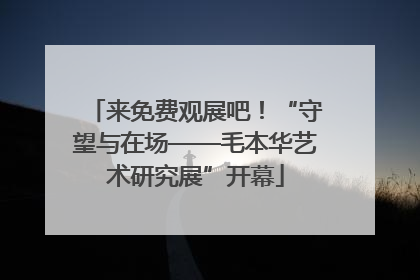 来免费观展吧！“守望与在场——毛本华艺术研究展”开幕