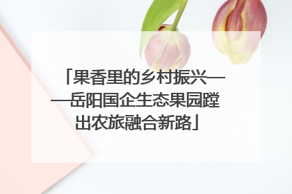 果香里的乡村振兴——岳阳国企生态果园蹚出农旅融合新路