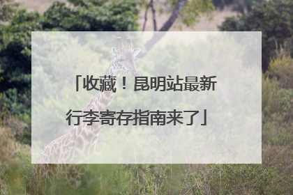 收藏！昆明站最新行李寄存指南来了