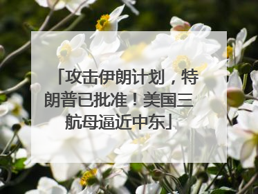 攻击伊朗计划，特朗普已批准！美国三航母逼近中东