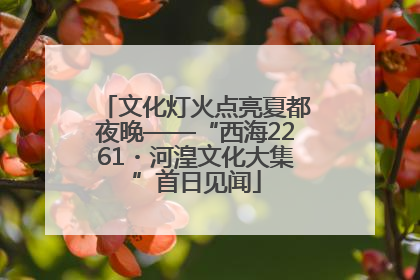 文化灯火点亮夏都夜晚——“西海2261・河湟文化大集”首日见闻