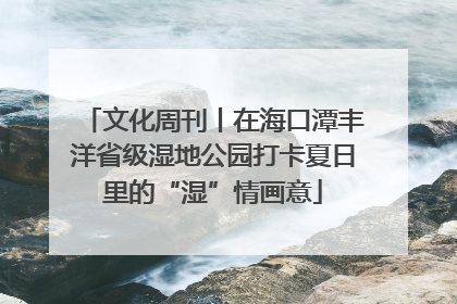 文化周刊丨在海口潭丰洋省级湿地公园打卡夏日里的“湿”情画意
