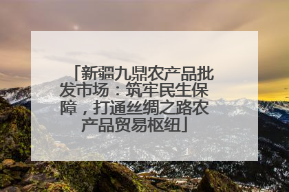 新疆九鼎农产品批发市场：筑牢民生保障，打通丝绸之路农产品贸易枢纽
