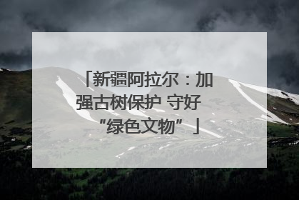 新疆阿拉尔：加强古树保护 守好“绿色文物”