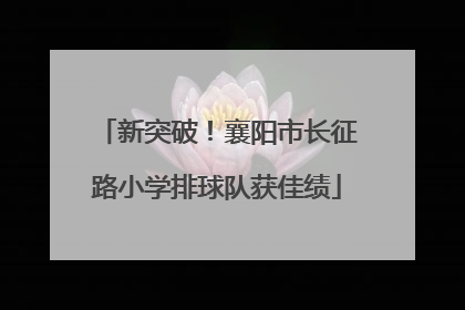 新突破！襄阳市长征路小学排球队获佳绩