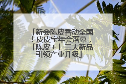 新会陈皮香动全国！皮皮宝年会落幕，「陈皮＋」三大新品引领产业升级