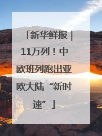 新华鲜报｜11万列！中欧班列跑出亚欧大陆“新时速”