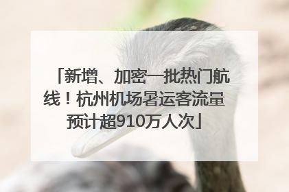 新增、加密一批热门航线！杭州机场暑运客流量预计超910万人次