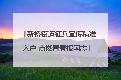 新桥街道征兵宣传精准入户 点燃青春报国志