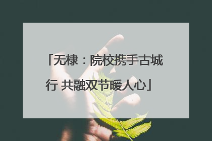 无棣：院校携手古城行 共融双节暖人心