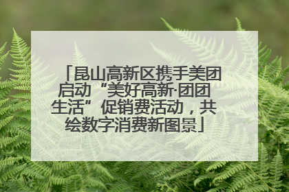 昆山高新区携手美团启动“美好高新·团团生活”促销费活动，共绘数字消费新图景